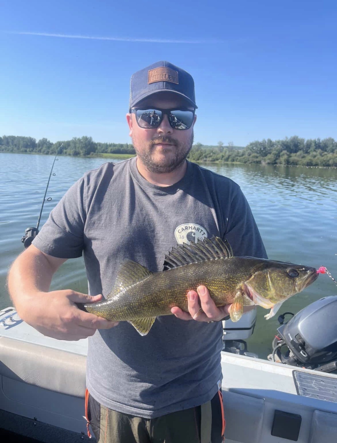 Angler holding a walleye on a sunny day