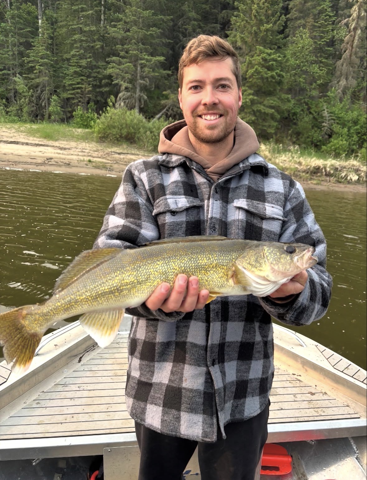 Angler with a golden walleye in the boat